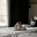 Loft Отель